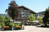 Hotel Pflug Hotel di Lautenbach