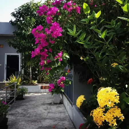 Tawanna Resort Отели рядом с достопримечательностью «Wat Pradu Riang School»