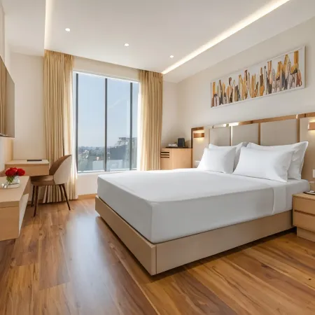 Ginger Indore Nipania