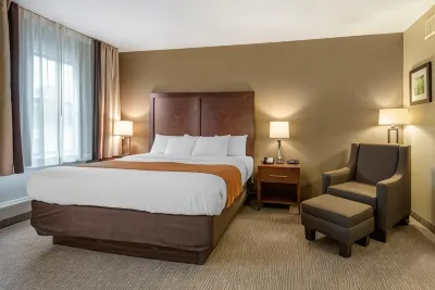 Comfort Inn Hotels in Madison