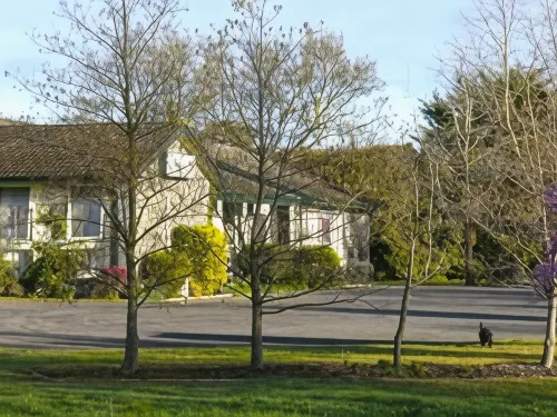 Gisborne Motel Hotels in Gisborne