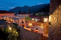 아르혼디코 하지파나비오티스