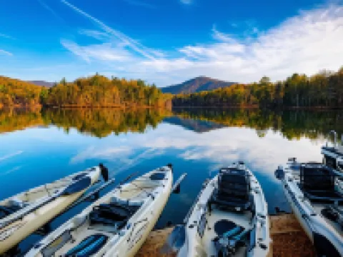 เปอตีต์ เครสต์ วิลล่า โรงแรมในPickens County