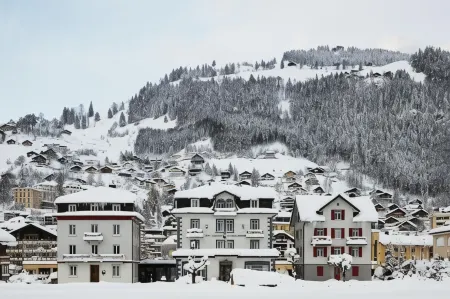 Ski Lodge Engelberg Отели в г. Энгельберг