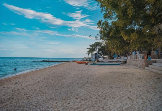 2. 아일랜드 프런트..