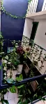Mini Hotel San Luis Potosí