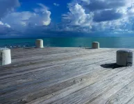 Wake up to Pelicans cruising the beach!