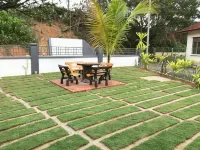 Jiaxin Homestay JP Pedana