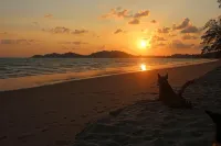 반분페치 리조트 - 빌라