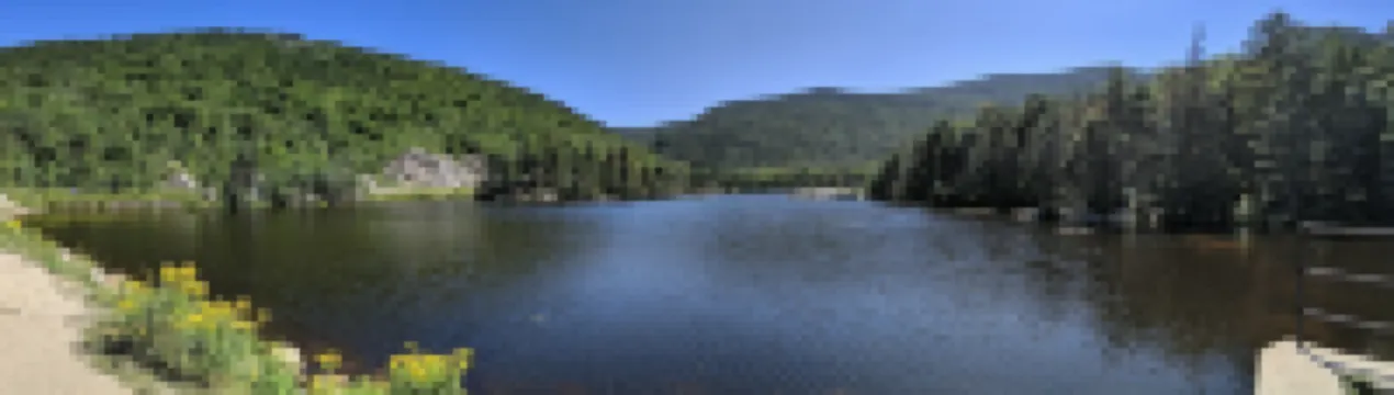 Ski + hike White Mt, walk to Brewery and downtown. Close to Loon and Ice Castle.