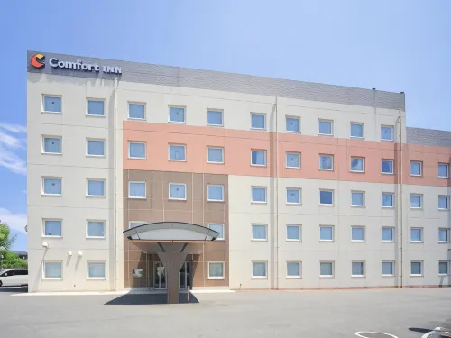 Comfort Inn Munakata Hotels in Munakata