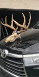 HUNTING: Nice Quiet 3-bedroom cabin in Ridgway, on top of 2,200ft Bootjack Mtn. - Hytter
