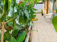 Plateau Guest House Hotels in Касане