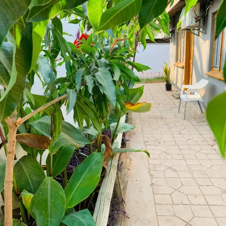 Plateau Guest House