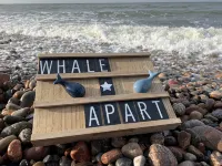 Whale Apart Guest House - โฮมสเตย์