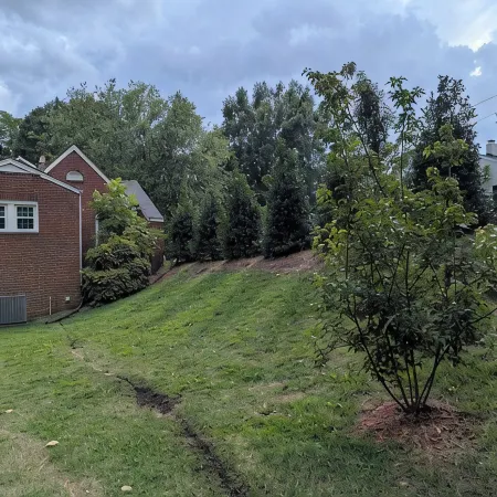 Holly Hill..  3-bedroom home in Historic Gastonia private yard 20min to Airport