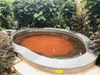 Grand Barony Hotel - Hot Springs