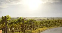 Pannonia Tower - Wifi