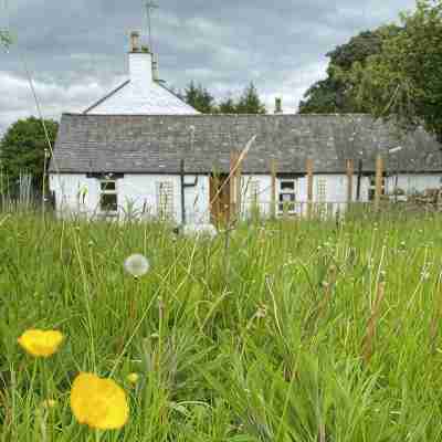 Stunning cottage, 3-beds, 2-baths, 2 sitting rooms. Fenced garden, dogs welcome. Hotel Exterior