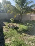 Tropical Meadows Hotels in 