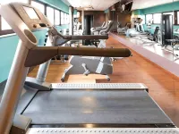 魯瓦西聖維諾富特酒店 - 健身室/gym room