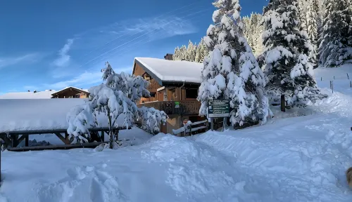 380 m² + Sauna + 6 Fitness Passes for Châtel + 15 Free Multipasses - 民宿