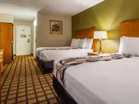 Best Western Plus Chicago Hillside Hotels in Hillside
