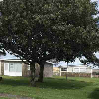 Cosy Self-Catering Chalet in Beautiful South Devon Hotel Exterior