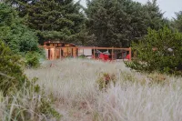 Remodeled Copalis Beach cottage with fully fenced yard - Wi-Fi