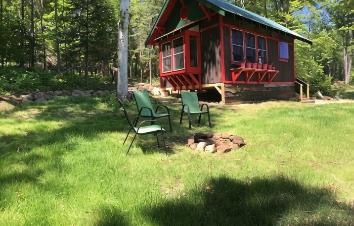 Camp Lillian Gorgeous New Cabin with Mountain Views