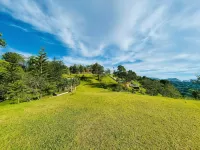 The Pinehill Farm - Wifi