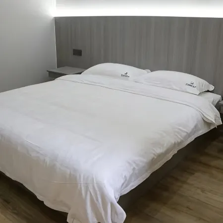 520 Online Homestay