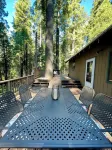 “Big Trees Retreat,” Boasts 5BR/2.5BA, Sleeps-16. 2-level living. Dog friendly!