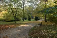 Beautiful apartment between vineyards and Obernai ramparts - 3-Star