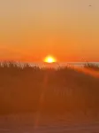 Beautiful sun filled 2 BR 3 blocks from beach- 2 beach passes- kids are free