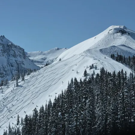 SKI-IN / SKI-OUT 5 BEDROOM, walking distance to everything in town!