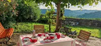 Old farmhouse in the heart of the 'Slovenian Tuscany' - Homestays