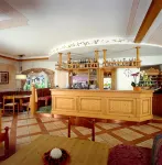 Hotel des Alpes - bar