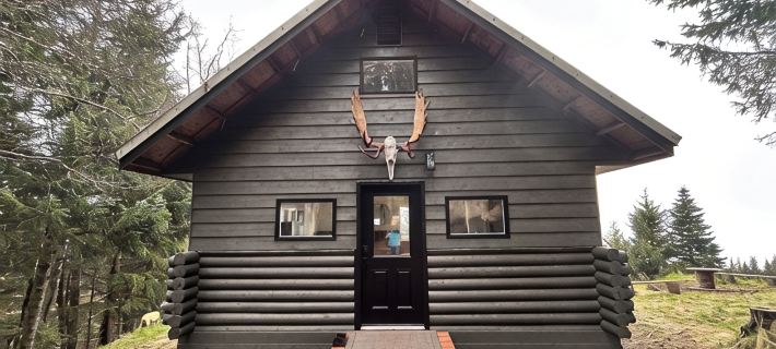 Cozy home with a view, newly remodeled. Hotels in Homer