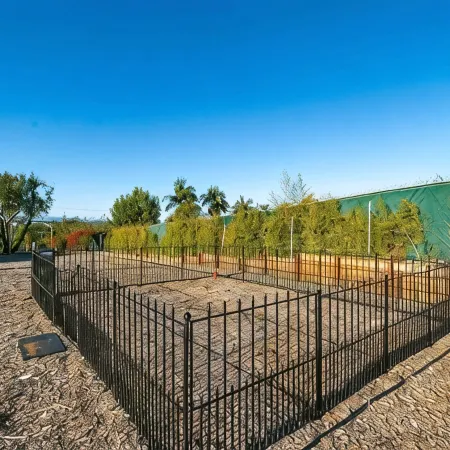 Melrose Exec Studio Queen + Bunk - Pet-Friendly