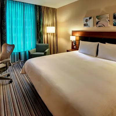 Hilton Garden Inn Eskisehir Hotels near Sarısu Kurşunlu Cami
