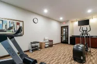 Spark by Hilton Ann Arbor South - نادي رياضي