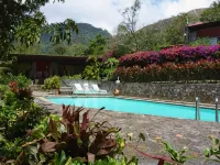 The Golden Frog Inn - Pool