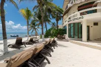 Playa Palms Beach Hotel - Ocean View