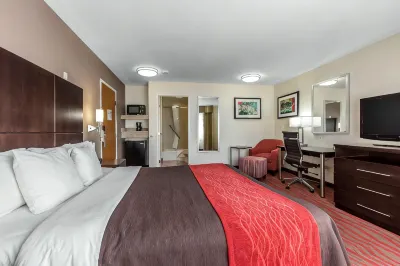 Comfort Inn Los Angeles near Hollywood Hotels near Silverlake Flea