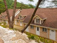 Wonju Sarichi Land in Forest Pension - ペンション