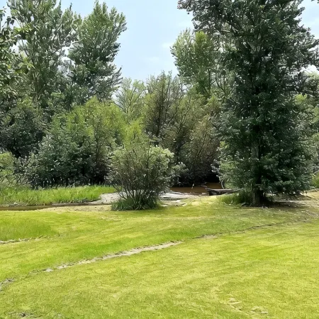 Creekside Cabin Near Salmon Idaho and the Salmon River