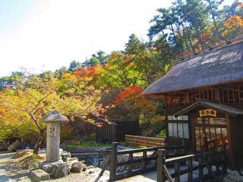Ryokan Tamagoyu - 4 stjerner