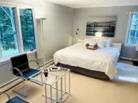 Luxurious Spa Suite with Jacuzzi, Outdoor Sauna, Plunge Pool and Steam-bath - Wifi