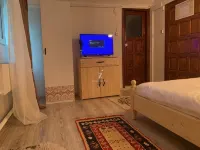 Vila Ursu - bar